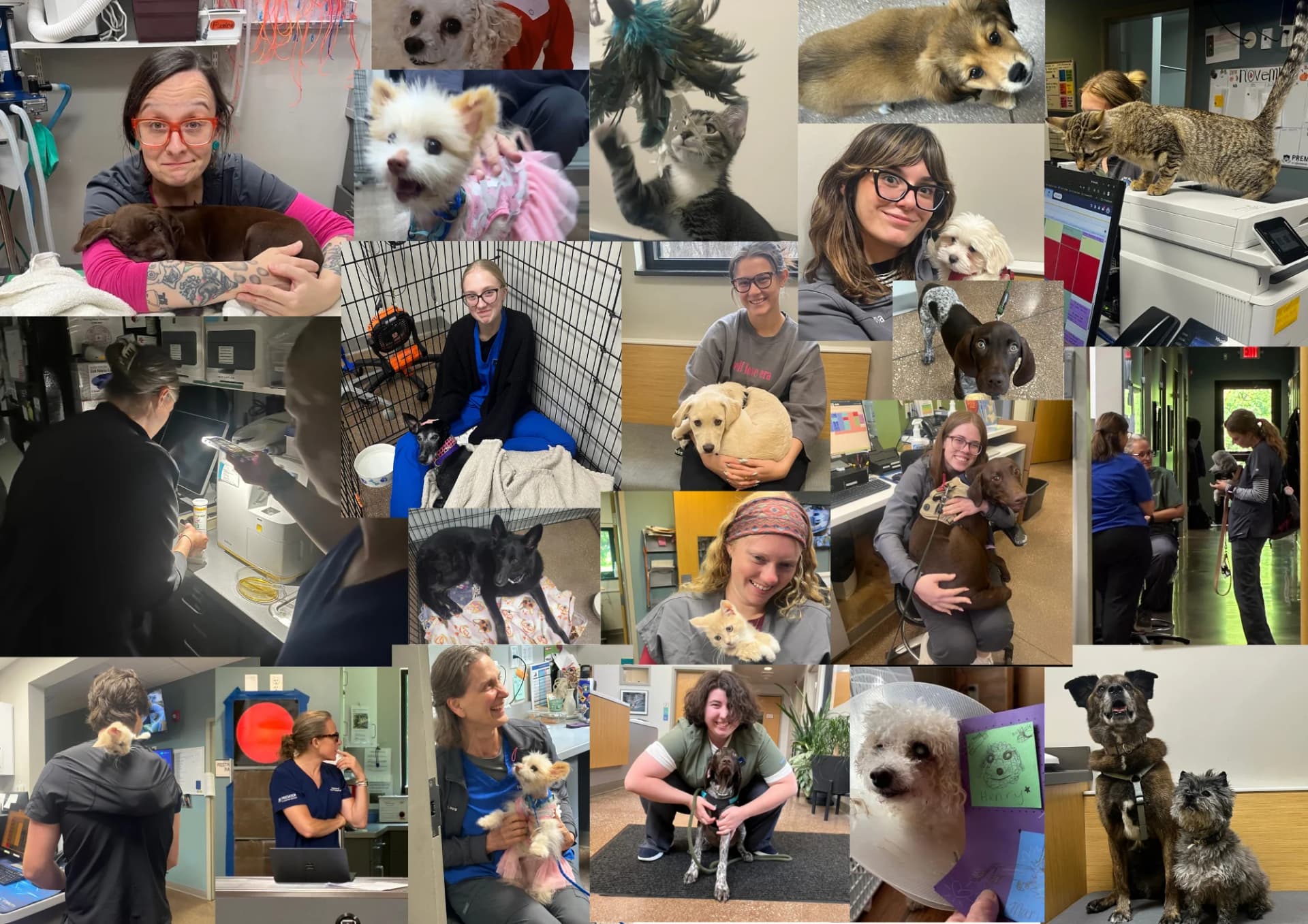 Highland Pet Hospital welcoming lobby with team member and happy dog