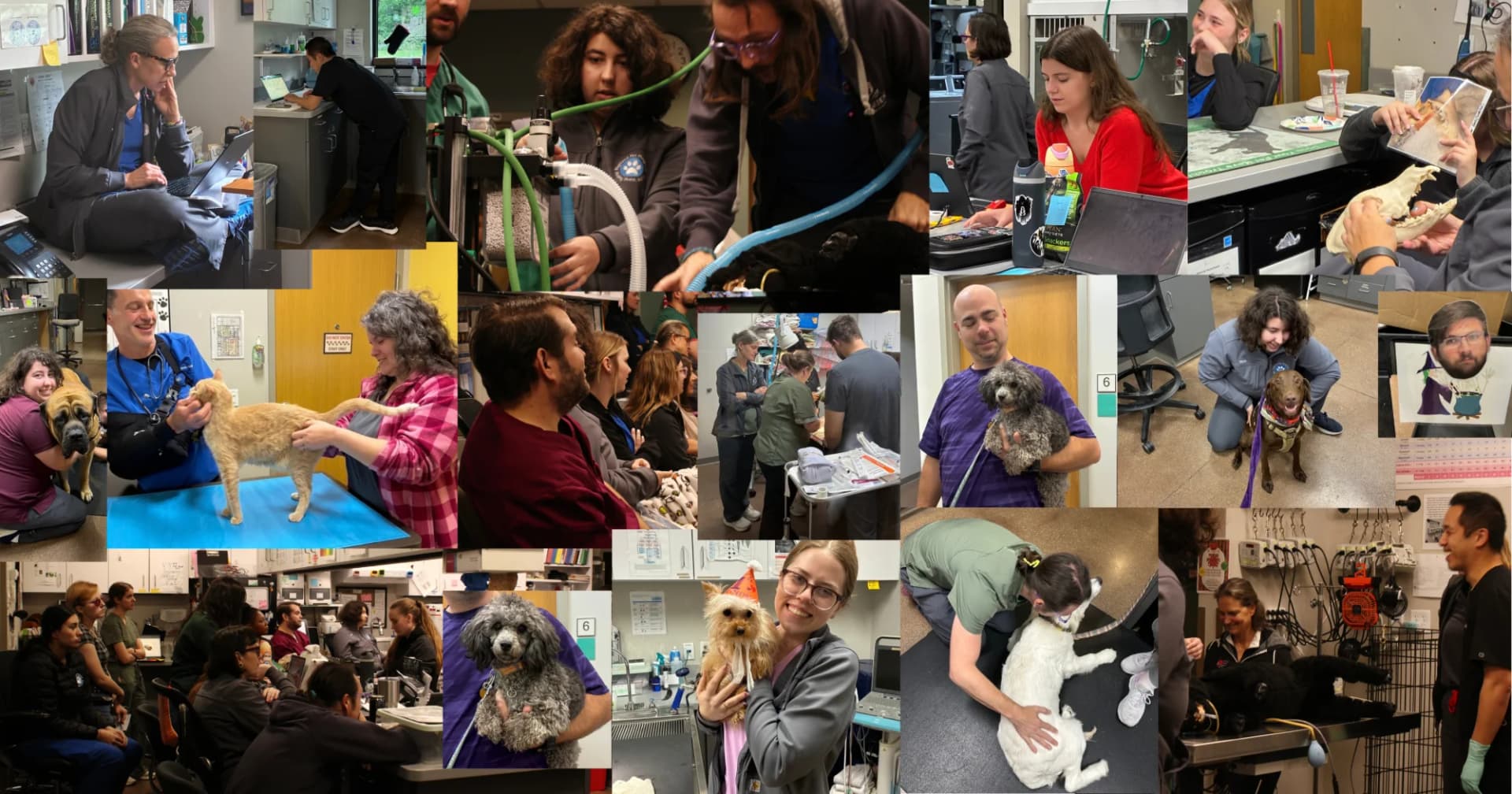 Highland Pet Hospital welcoming lobby with team member and happy dog